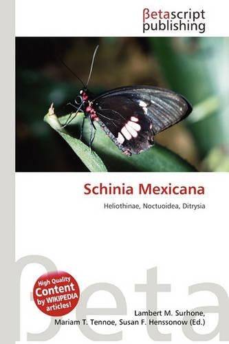 Schinia Mexicana