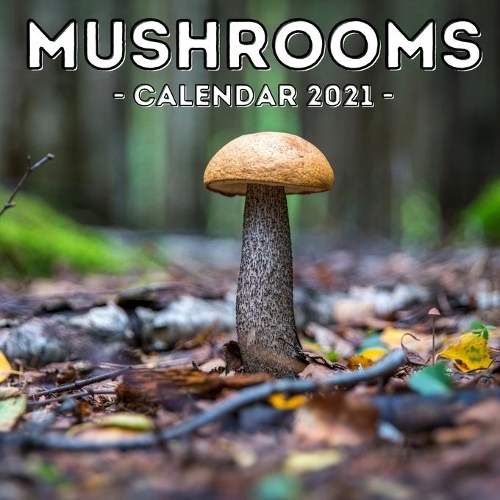 Mushrooms Calendar 2021: 16-Month Calendar, Cute Gift Idea For Mushroom Lovers Women & Men