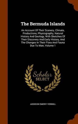 The Bermuda Islands