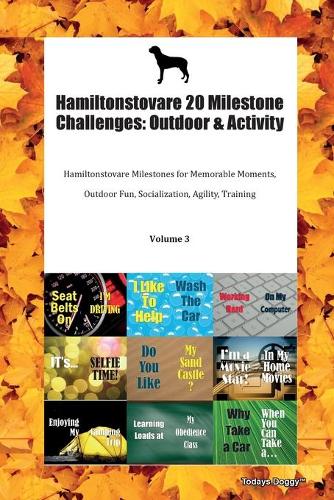 Hamiltonstovare 20 Milestone Challenges
