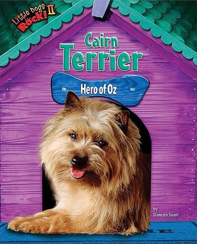 Cairn Terrier