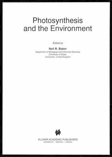 Photosynthesis and the Environment