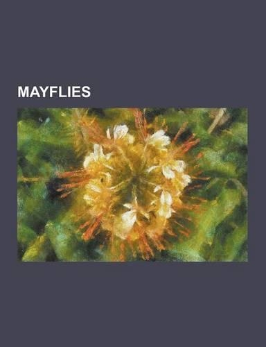 Mayflies