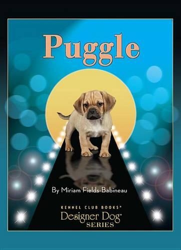 Puggle: (Designer Dog)