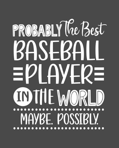 Probably the Best Baseball Player In the World. Maybe. Possibly.