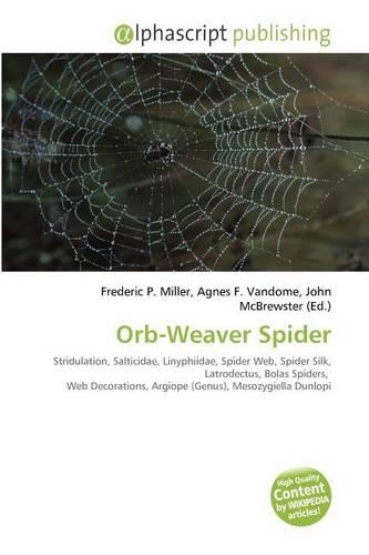 Orb-Weaver Spider