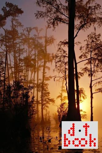 The Dot Book - A Dot Grid Notebook for Graphic Designers - Beauty Series - 013