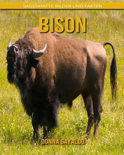 Bison