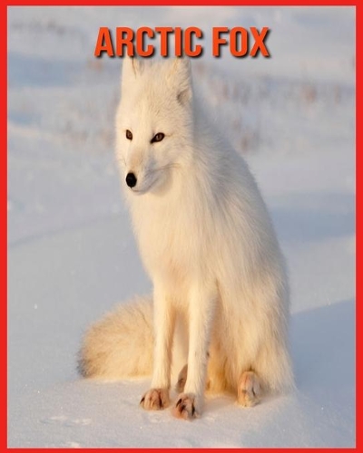 Arctic Fox
