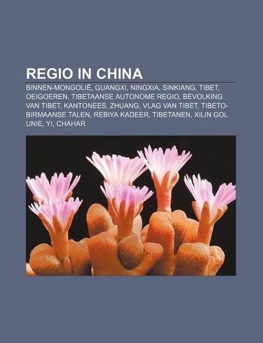 Regio in China