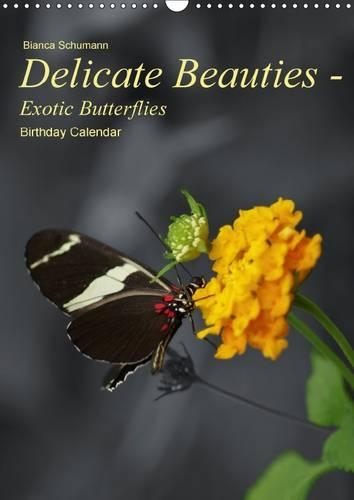 Delicate Beauties - Exotic Butterflies 2015