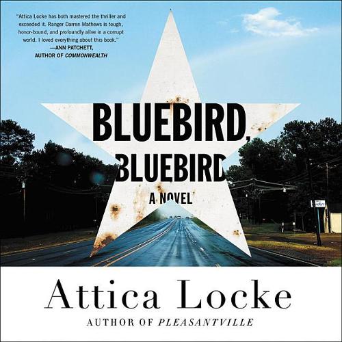 Bluebird, Bluebird Lib/E: (1 Highway 59 Series Lib/E)