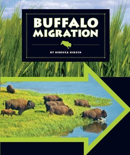 Buffalo Migration: (Animal Migrations)
