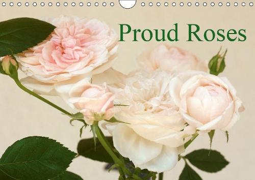 Proud Roses 2019: The calendar for rose enthusiasts(Calvendo Nature)