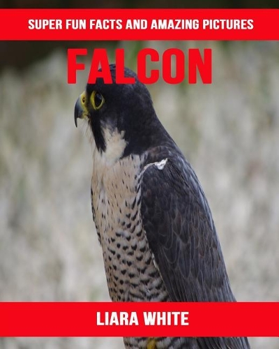 Falcon