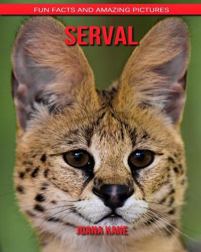 Serval: Fun Facts and Amazing Pictures