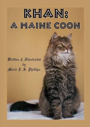 Khan:: A Maine Coon