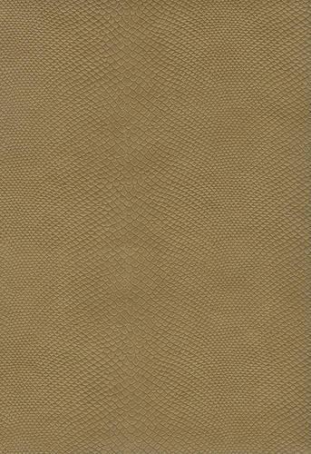 Thompson Answer Bible-NIV: Treasures of Truth