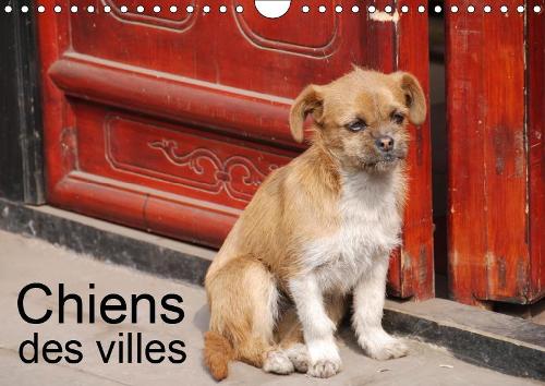 Chiens des villes 2019