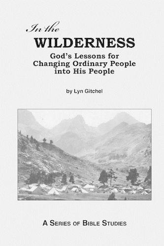 In the Wilderness: God's Lessons for Changing Ordinary People into His People(English)