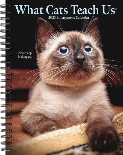What Cats Teach Us 2026 6.5 X 8.5 Engagement Calendar