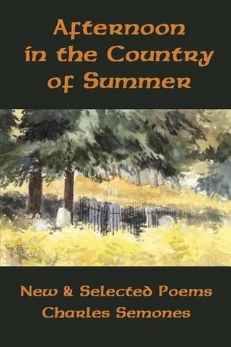 Afternoon in the Country of Summer