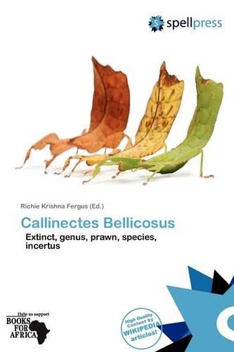 Callinectes Bellicosus