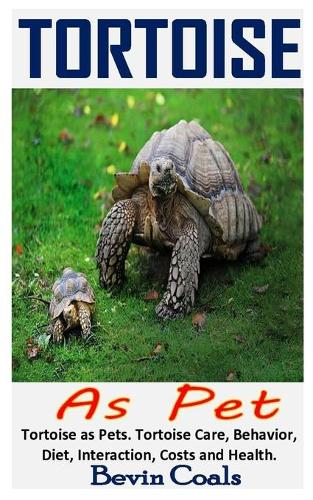 Tortoise as Pet