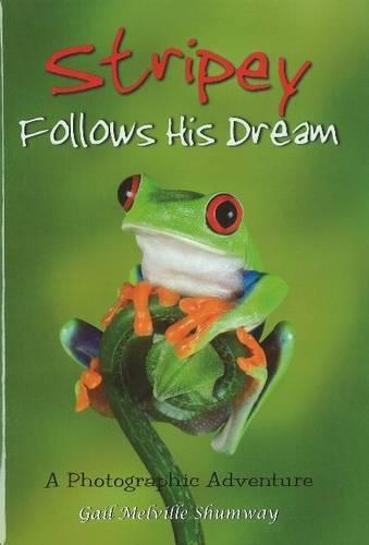 Stripey Follows His Dream