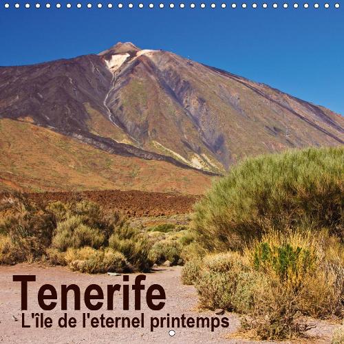 Tenerife - L'île de l'eternel printemps 2019: Un voyage photographique sur l'île de Tenerife(Calvendo Places)