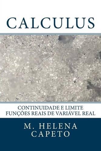 Continuidade E Limite: Funcoes Reais de Variavel Real