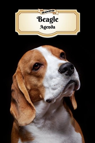 2020 Beagle Agenda