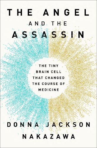 The Angel and the Assassin