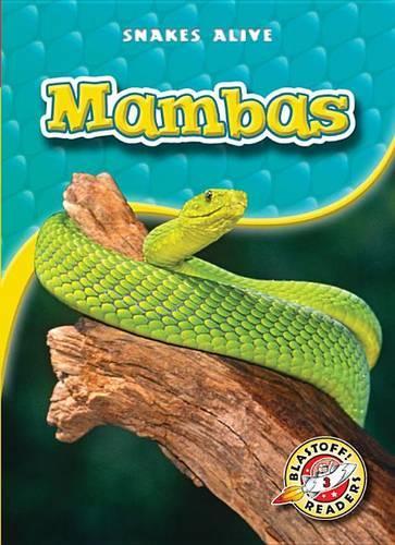 Mambas: (Snakes Alive)