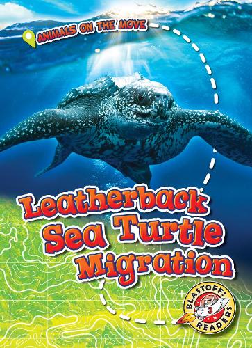 Leatherback Sea Turtle Migration: (Animals on the Move)
