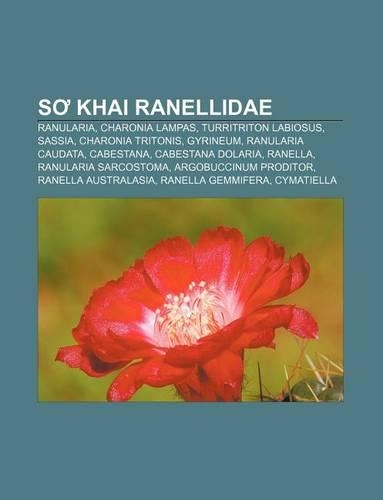 S Khai Ranellidae