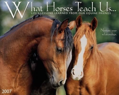 What Horses Teach Us...