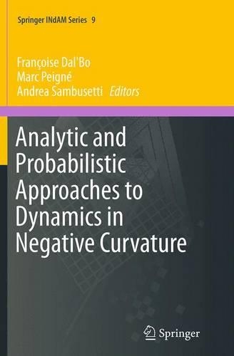 Analytic and Probabilistic Approaches to Dynamics in Negative Curvature: (9 Springer INdAM Series)