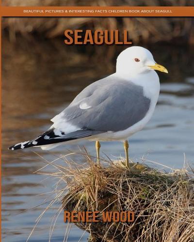 Seagull