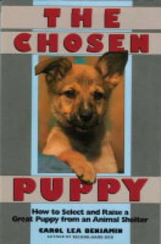The Chosen Puppy