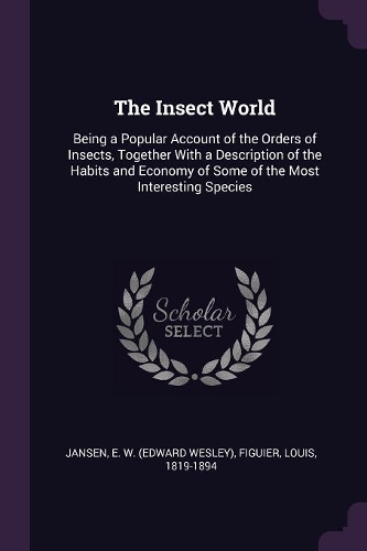 The Insect World