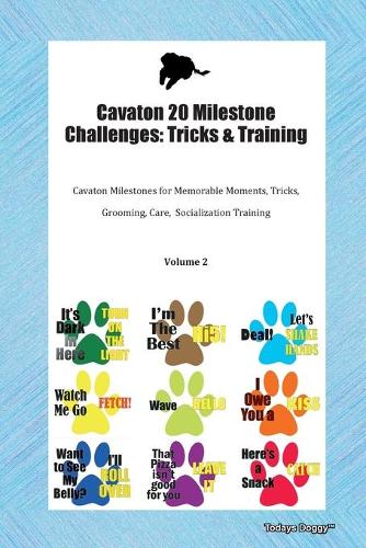 Cavaton 20 Milestone Challenges