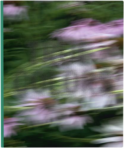 Zora J Murff: True Colors