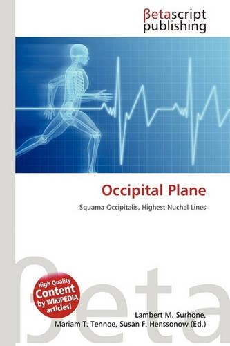 Occipital Plane