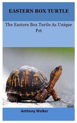 Eastern Box Turtle