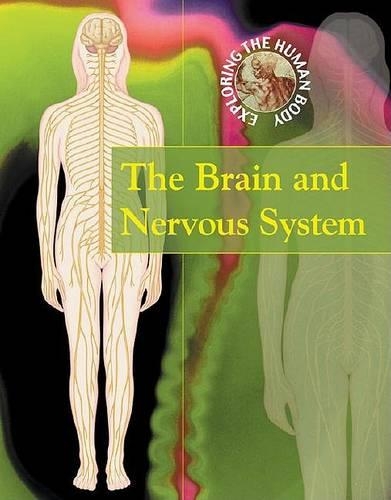 The Brain and Nervous System
