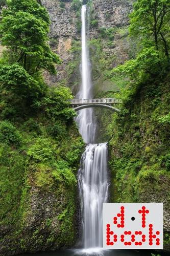 The Dot Book - A Dot Grid Notebook for Graphic Designers - Beauty Series - 015