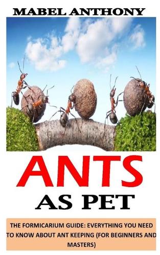 Ants as Pet