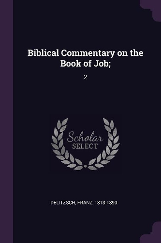 Biblical Commentary on the Book of Job;: 2