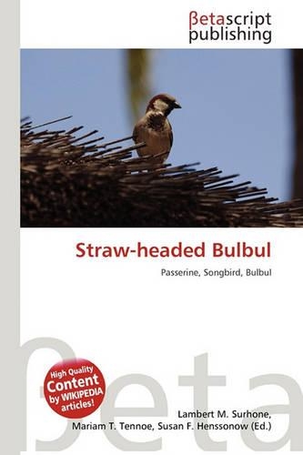 Straw-Headed Bulbul